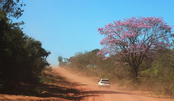 Tempo seco em grande parte do Estado e probabilidade de chuva no sul marcam a terça-feira em MS