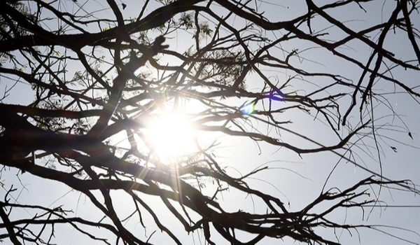 Massa de ar seco continua em Mato Grosso do Sul nesta quinta-feira
