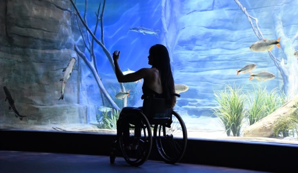 Plano que busca garantir direitos às pessoas com deficiência será discutido na sexta-feira