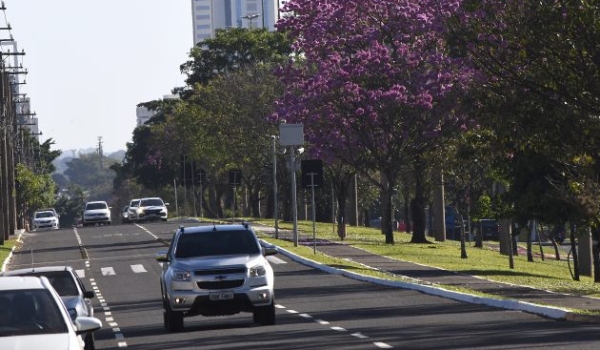 Temperaturas amenas atingem regiões sul, sudoeste e Pantanal durante o domingo