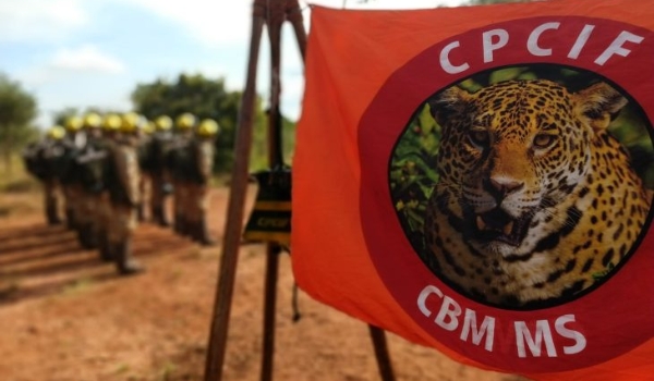 Meio Ambiente: Corpo de Bombeiros inicia curso de combate a incêndios florestais nesta terça