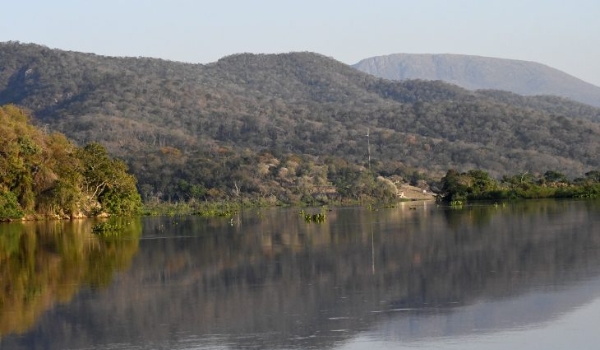 Projeto com certificação de crédito de carbono no Pantanal é inovador e segue política estadual
