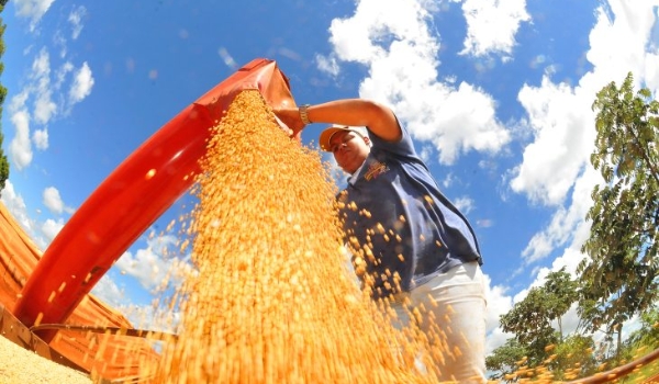 MS desponta no agronegócio nacional com alta na renda agropecuária e na busca por crédito rural