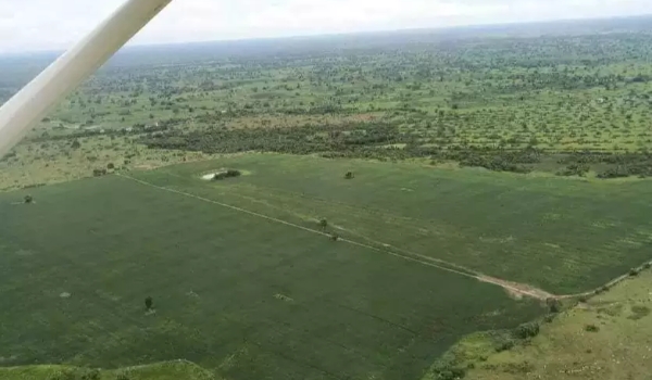 Suspensão no Pantanal vai atingir licenças já em trâmitação