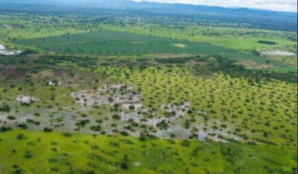 Decreto protege Pantanal até aprovação de lei
