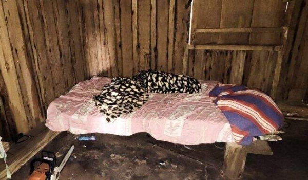 Seis trabalhadores são resgatados de fazenda em condições de escravidão