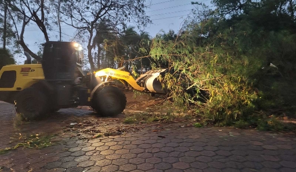 Vendaval de sexta-feira derrubou 14 árvores e destelhou casas em Amambai