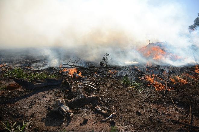 Queimadas se espalham nas cidades em MS