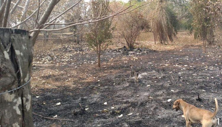 Idoso é multado em R$ 20 mil ao provocar incêndio