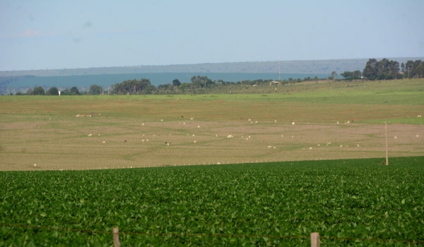 PIB da agropecuária deve crescer 10% em Mato Grosso do Sul em 2023