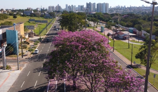 Domingo tem previsão de queda de temperaturas e tempo estável em MS