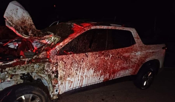 Casal fica ferido após carro colidir com cavalo na BR-376
