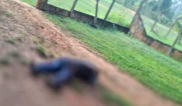 Mecânico é assassinado a facadas por amigo durante bebedeira