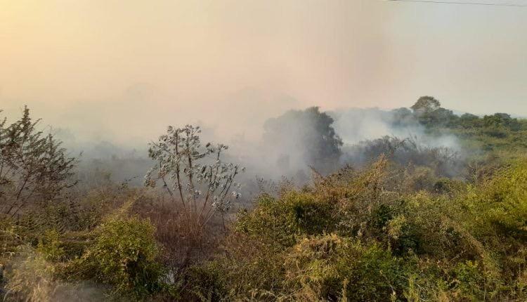 Chuva em Corumbá ameniza incêndios no Pantanal