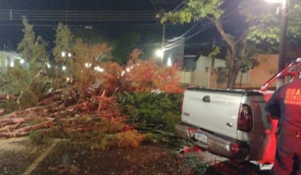 Após temporal, Agesul disponibiliza equipamentos para limpeza urbana de Dourados