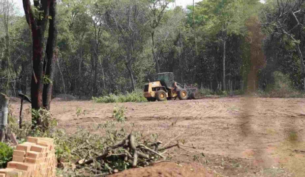 Diretor do Imasul vai à polícia contra leitores por comentários sobre desmatamento
