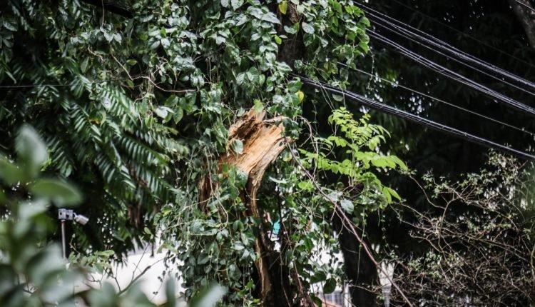 Temporal deixa 15 mil pessoas sem energia na capital