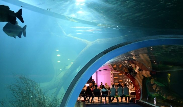 Confira o abre e fecha do feriado nacional da Independência do Brasil