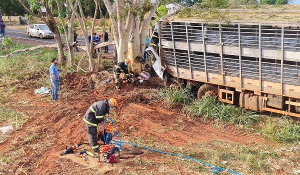 Ao colidir caminhão em árvore, motorista morre preso às ferragens