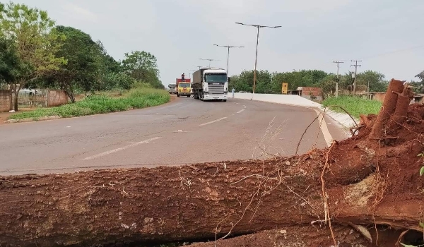 Indígenas bloqueiam MS-156 para cobrar mais segurança em aldeias