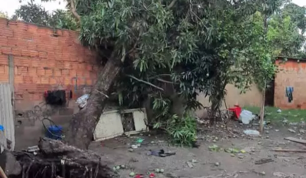 Vendaval em Corumbá causou prejuízo estimado em R$ 3,7 milhões