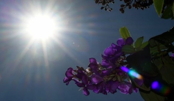 Alerta: MS tem previsão de altas temperaturas e baixa umidade durante a semana