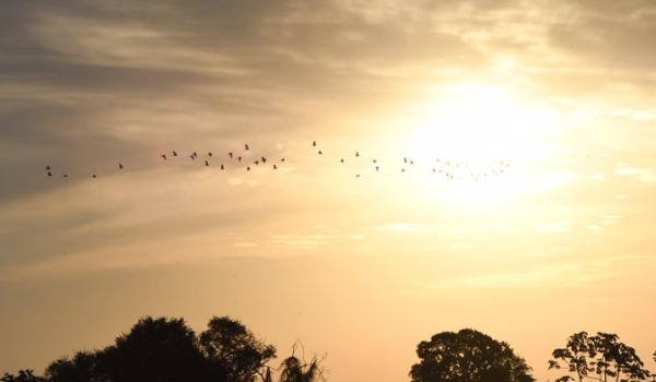Terça-feira tem previsão de altas temperaturas e probabilidade de chuvas em MS