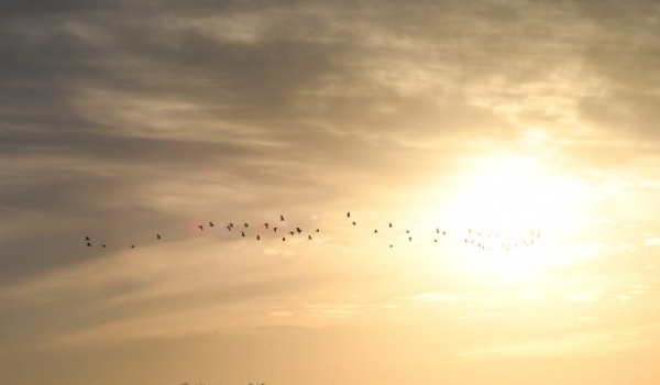 Quinta-feira tem previsão de altas temperaturas e pode bater recorde em MS
