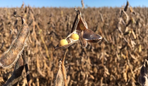 Evento internacional no Rio debate união de agronegócio com ambiente 