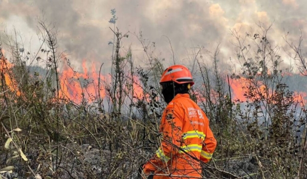 Queda de raio pode ser a causa de incêndio em Bonito