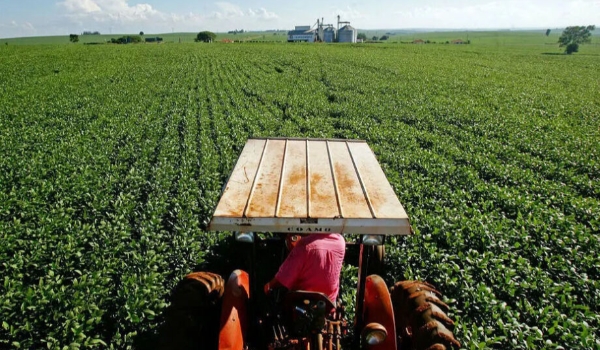 Ruralistas falam em 'consequências drásticas' após derrubada do marco temporal