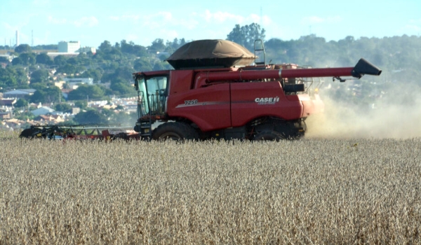 Área de cultivo de soja dobra em uma década