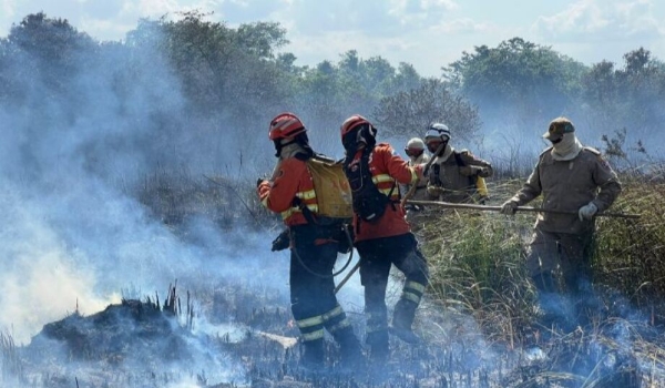 Depois de Bonito, incêndios florestais atingem áreas pantaneiras de Coxim e Corumbá