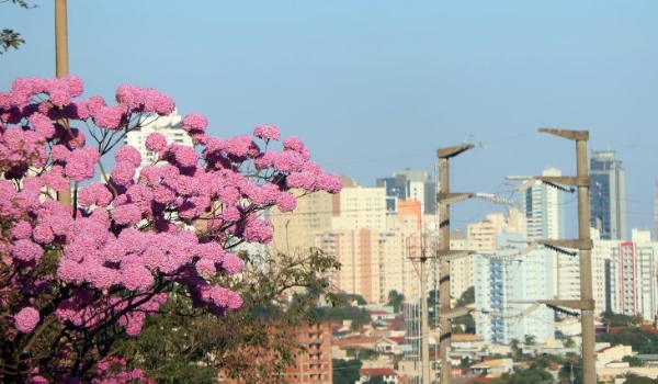 Previsão de sol e altas temperaturas para esta terça-feira em MS