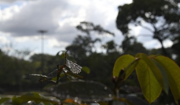 Previsão é de chuvas e aumento das temperaturas nesta sexta-feira em MS