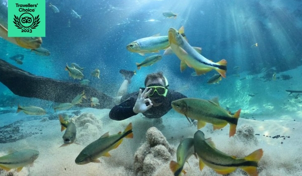 Em ranking mundial de melhores atrações, calor é ponto positivo