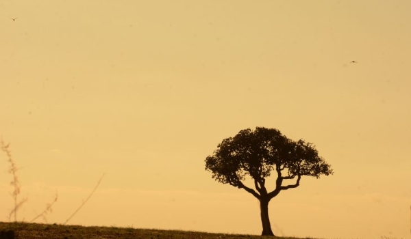Ar quente e úmido gera possibilidade de chuvas em MS nesta terça-feira