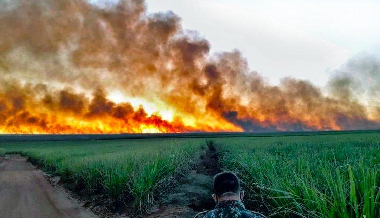 União autoriza repasse de R$ 562,8 mil para combater incêndios no Pantanal