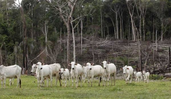 Brasil poupa agro e deixa de fora do mercado de carbono setor que mais emite gases 