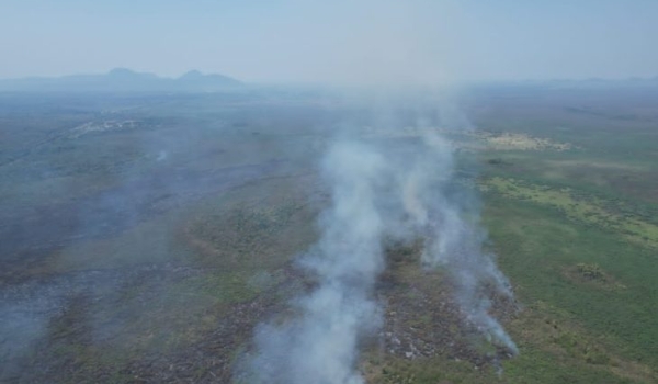 Apoiado pelo Fundect, projeto em MS busca alternativa para evitar incêndios no Pantanal