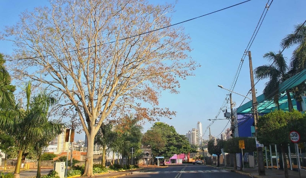 Termômetros ultrapassam os 40°C neste domingo, aponta previsão
