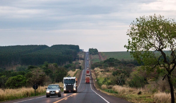 PRF coloca em leilão veículos que foram apreendidos ou abandonados em rodovias