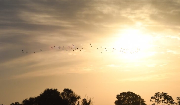 Previsão para esta quarta-feira é de sol e temperaturas podem atingir 40°C em MS