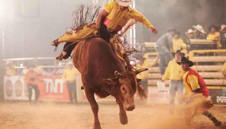 Festa do Peão de Barretos é adiada para 2021 por causa da pandemia