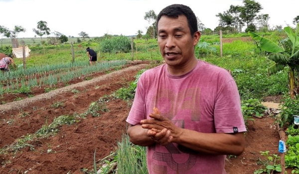 Agricultores familiares, indígenas e quilombolas de MS têm até novembro para entrar em programa de R$ 5 milhões
