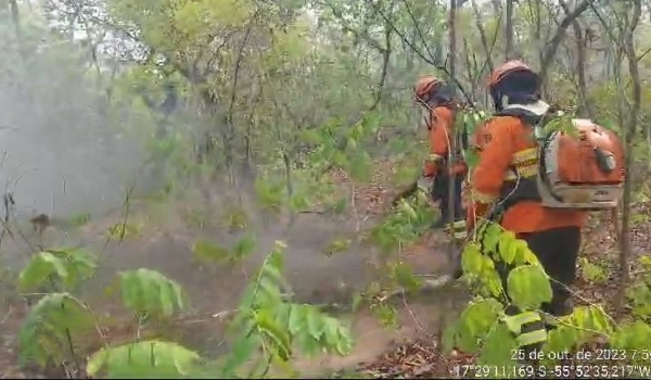 Bombeiros combatem incêndios há quatro dias no Pantanal