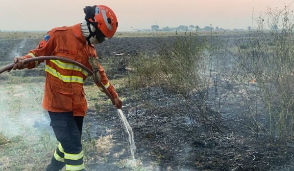 Em alerta, bombeiros de MS atuam em quatro incêndios florestais no Pantanal