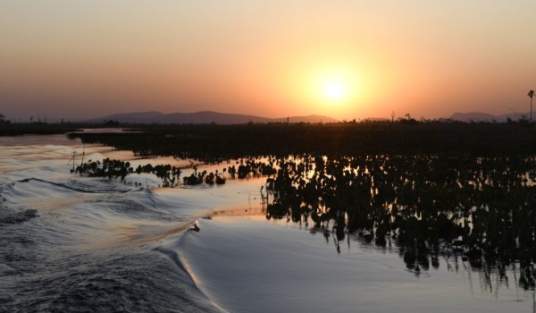 Sexta-feira tem previsão de sol, mas chuvas não são descartadas em Mato Grosso do Sul