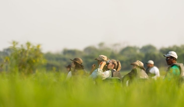 Turismo a partir da observação de aves é discutido no Pantanal de MS em evento histórico