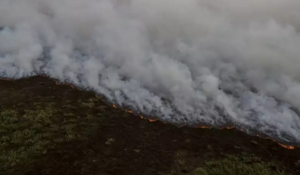 Brigadistas intensificam trabalho de combate a incêndios no pantanal